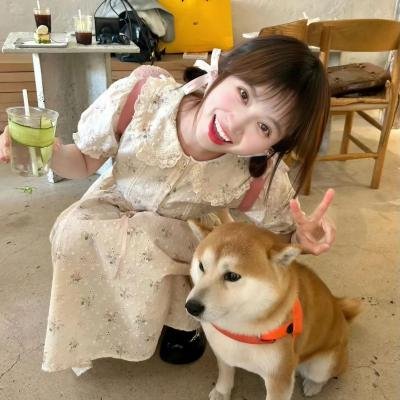 海华沙之兔 海报